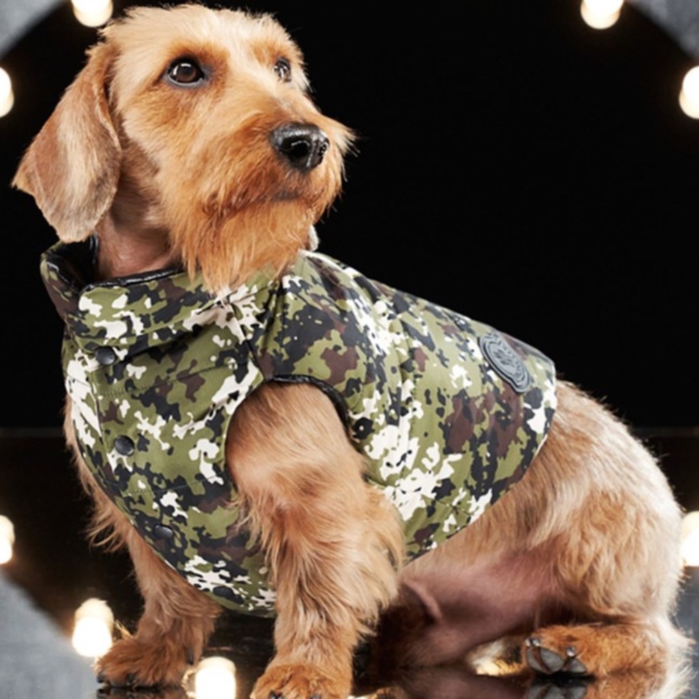 MONCLER GENIUS x Poldo Dog Couture dog coat in Camouflage - Size 4 XL